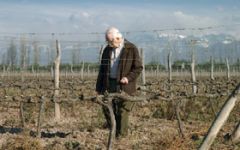 Image of winery