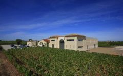 Chateau La Conseillante Winery Image