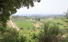 Ostatu Rioja Alavesa Winery Image