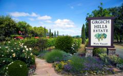 Grgich Hills Estate Winery Image