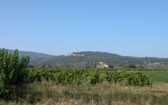 La Vieille Ferme Vineyards in the Rhone Valley Winery Image