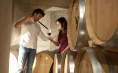 Dominio del Aguila Barrel Tasting Winery Image