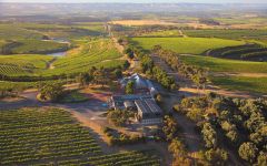 Chapel Hill Winery Winery Image