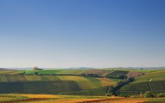 Domaines Barons de Rothschild Winery Image