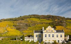 Domane Wachau Domane Wachau Winery Image