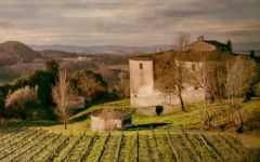 Tenuta di Ghizzano Tenuta di Ghizzano Winery Image