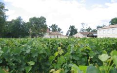 Chateau Les Trois Croix The Summer Winery Image
