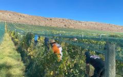 Quartz Reef Harvest Winery Image