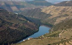 Quinta da Romaneira Douro River Winery Image