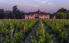 Petite Sirene Winery Image