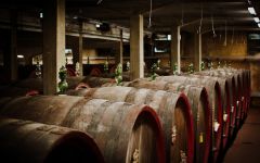 Castelli del Grevepesa  Winery Image