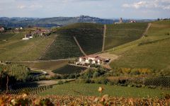 Marchesi di Gresy Winery Image