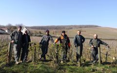 Champagne Mandois The Harvest Winery Image