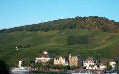 Dr Pauly-Bergweiler Vineyards in Bernkastel Winery Image