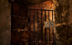 Chateau Ducru-Beaucaillou Chateau Ducru-Beaucaillou Cellar Gate Winery Image