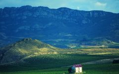 Bodegas Bilbainas Vina Pomal Winery Image