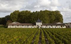 Chateau de Panigon Winery Image