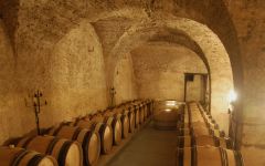 Domaine de Bellene Barrel Cave at Domaine de Bellene Winery Image