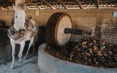 Gracias a Dios Grinding Winery Image