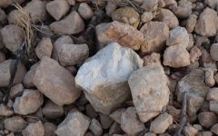 Bodegas Castano The Rocky Soil Winery Image