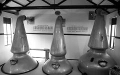 Auchentoshan  Winery Image