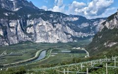 Mezzacorona View of Adige River Winery Image