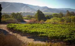 Jekel Vineyards Jekel Vineyards Winery Image