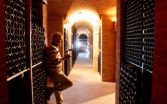 Paolo Scavino Enrico Scavino in the Cellar Winery Image