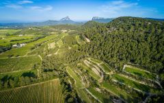 Chateau Fontanes Vineyards of Chateau Fontanes Winery Image