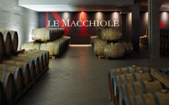 Le Macchiole Le Macchiole Barrel Room Winery Image