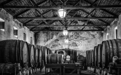 Manuel Jose Colares Colares Cellar Winery Image