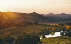 Quintessa  Winery Image