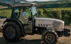 Viticcio Sangiovese Harvest at the Winery Winery Image