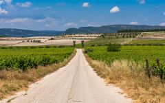 Celler del Roure View of Valencia from the Fields Winery Image