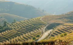 Casa Santos Lima Winery Image