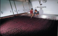 Graham's Robotic Lagar Winery Image