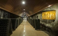 Rocca Sveva Cellar Winery Image