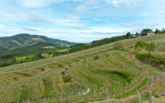 Bodegas Berroja Winery Image