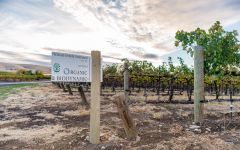 Hedges Family Estate Biodynamic Farming Winery Image