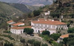 Image of winery