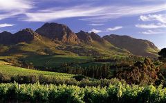 Image of winery