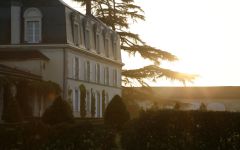 Image of winery
