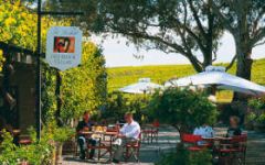 Image of winery