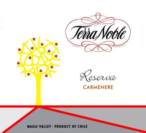 Terra Noble Reserva Carmenere 2007 | Wine.com
