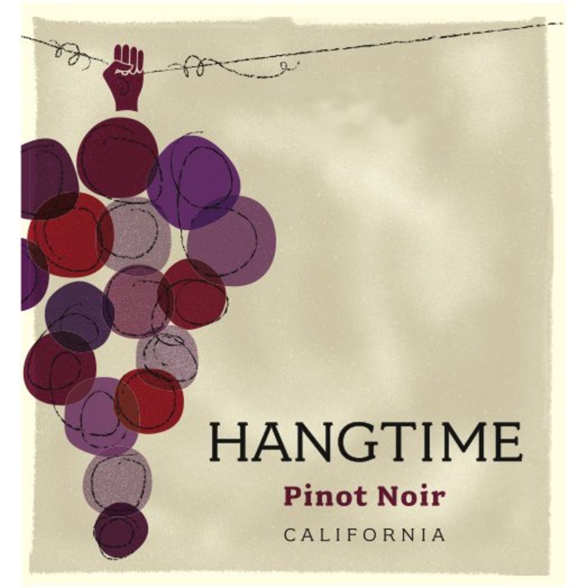 Hangtime Pinot Noir 2010 Front Label