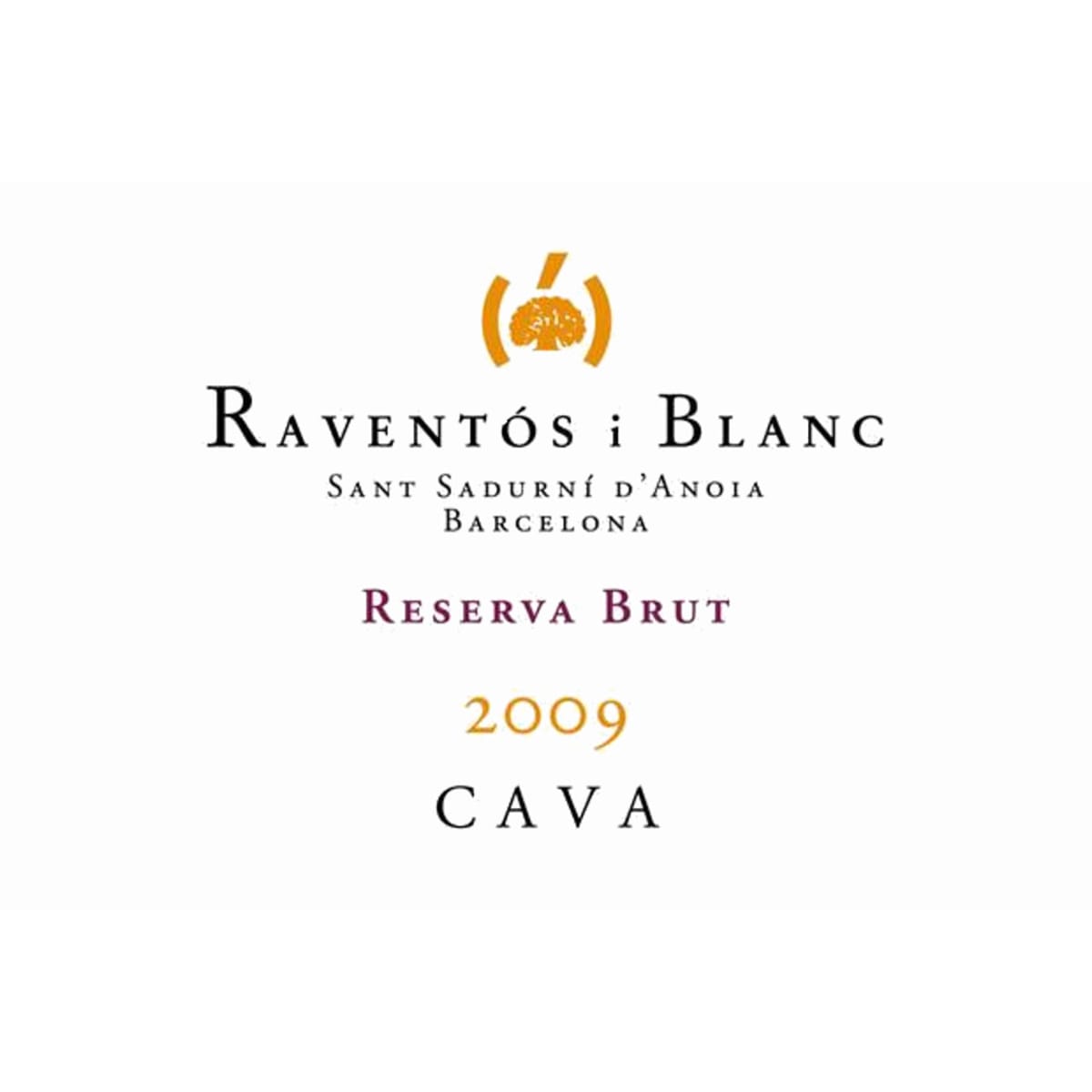 Raventos i Blanc Reserva Brut Cava 2009 Front Label