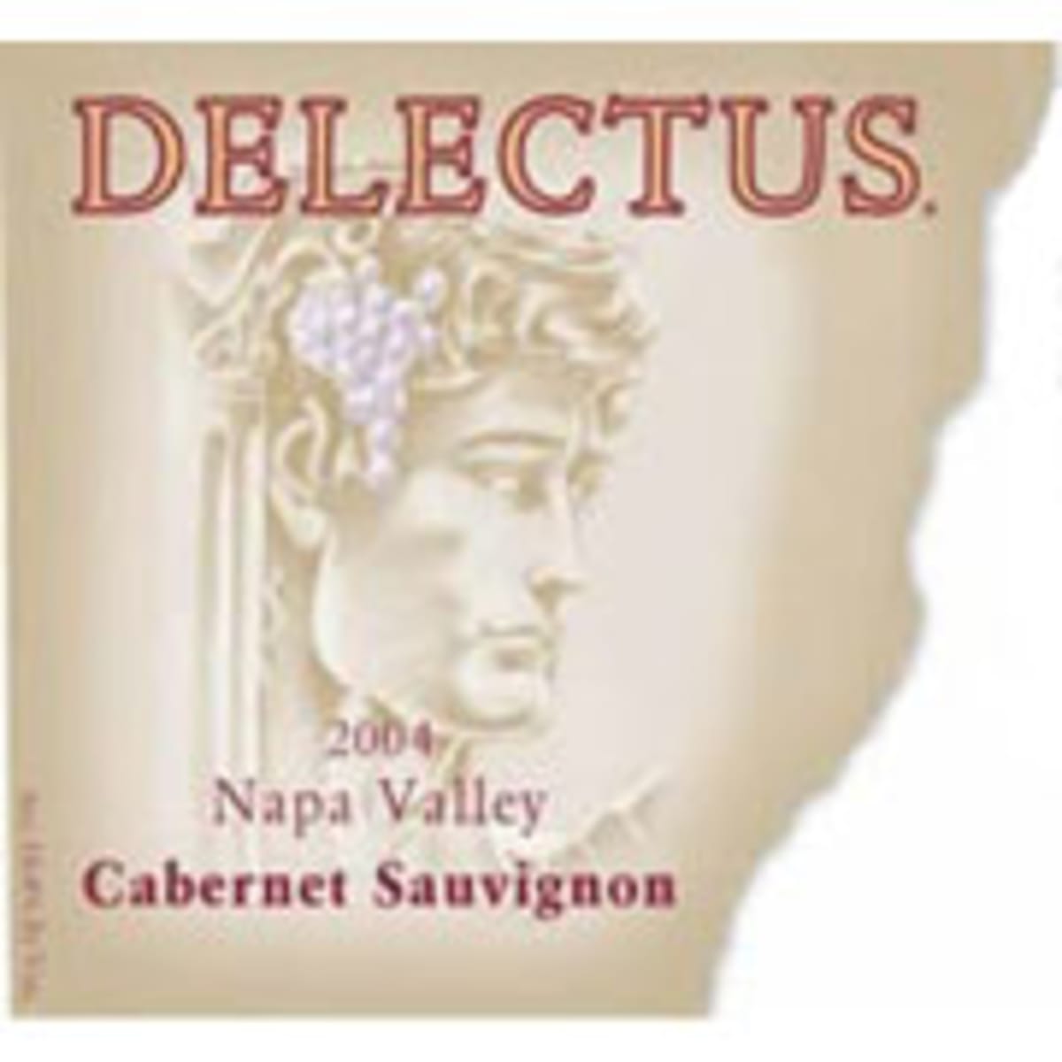 Delectus Cabernet Sauvignon 2004 Front Label