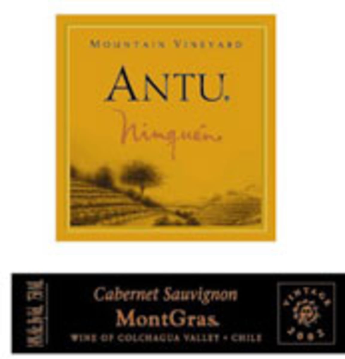 MontGras Antu Ninquen Cabernet Sauvignon 2002 Front Label