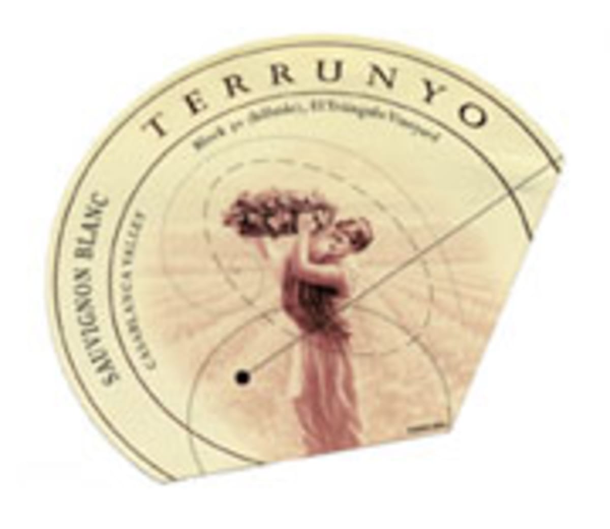 Terrunyo Sauvignon Blanc 2004 Front Label