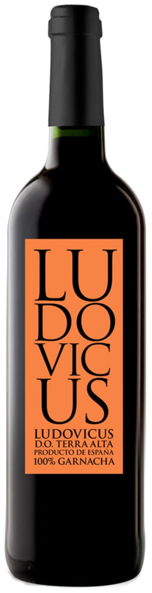 Pinol Ludovicus Tinto 2013 Front Bottle Shot